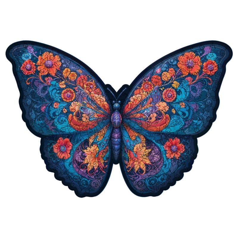 The Galaxy Butterfly